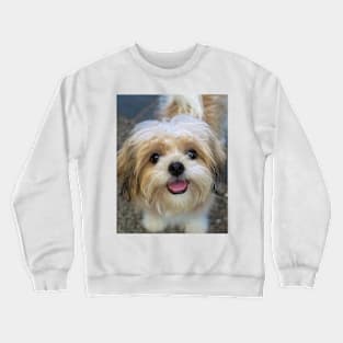 LOVE DOGS Crewneck Sweatshirt